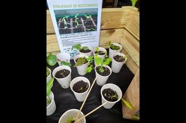 Plantjes ruilen op de kinderboerderijen van Stad & Natuur