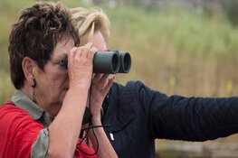 Beleef een ode aan het Almeerse landschap tijdens de tochten van stadsgids Marie-Josée Röselaers