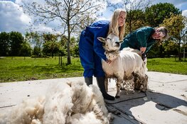 Stagiairs in de spotlight bij stad & natuur