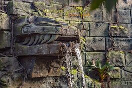 Meer dan 500 gratis entreekaarten en abonnementen voor het oprapen voor Dierenpark Almere Jungle.