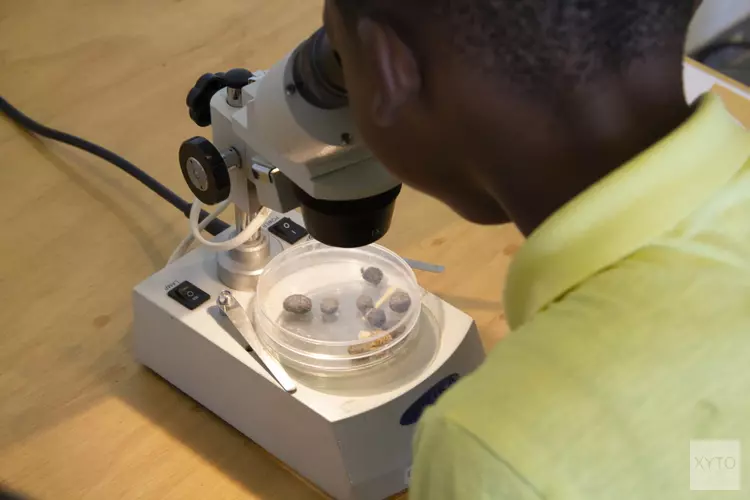 Eerste schoolklassen weer naar stad & natuur voor vette shit!