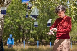 Landschapskunstwerk De Groene Kathedraal en Werelderfgoedlocatie Schokland decor voor theatervoorstelling