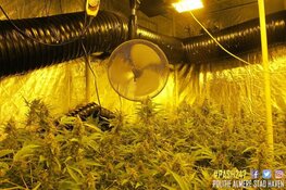 Hennepkwekerij aangetroffen in Almere-Haven