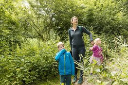 Stad & Natuur ontwikkelt toegankelijkheid bos voor iedereen