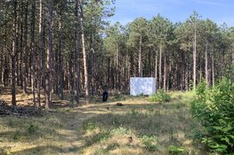 Publiekspresentatie Bouke Groen