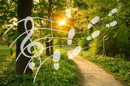 Muziekwandelingen in Vroege Vogelbos op 5 september