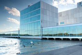 Kunstlinie brengt met kunstenaar Elise &#39;t Hart ode aan het lockdowngeluid