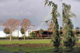 Stuur een bijzondere boom op!