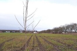 Informatiebijeenkomst Voedselbos Eemvallei Almere Oosterwold