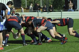 Bulldogs Rugby Socials spelen eerste wedstrijd