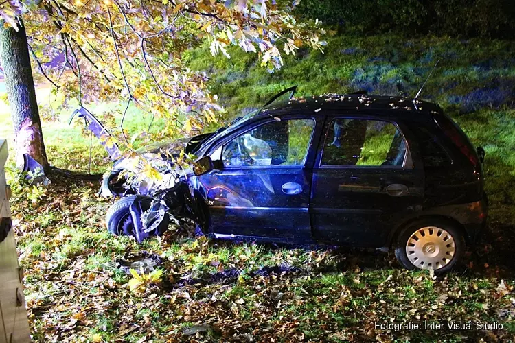 Auto tegen boom op Hollandsedreef in Almere
