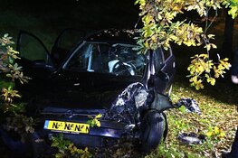Auto tegen boom op Hollandsedreef in Almere