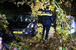 Auto tegen boom op Hollandsedreef in Almere