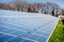 Nederlands eerste subsidievrije zonnepark komt in Almere