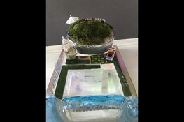 Almeers Talentenlab ontwerpt Save Plastic Huisje