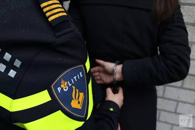 Verdachte aangehouden voor straatroof