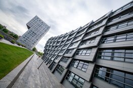 Kunstenaars en performers gezocht voor Ally Art & Architecture