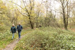 Kom in beweging in de Almeerse natuur
