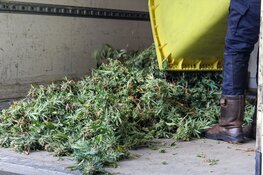 Hennepkwekerij opgerold in Almere