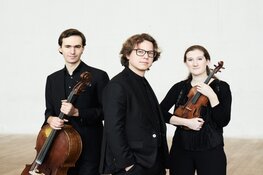 Van Baerle Trio speelt in mooie akoestiek Goede Rede concerten