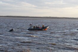 Zoekactie bij haven Almere, omgeslagen boot aangetroffen