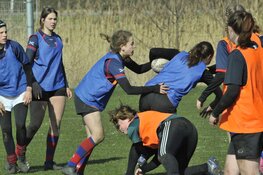 Girls rugby festival Bulldogs Almere