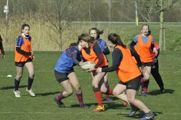 Girls rugby festival Bulldogs Almere