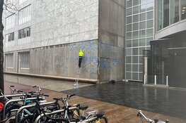 Fanakapan creëert een enorme spin op het stadhuis in Almere