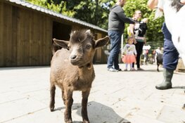 Kinderboerderijen vieren de lente