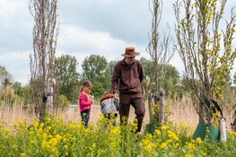 Op ontdekkingstocht met de buiten(w)eter door het vroege vogelbos