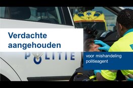 Verdachte aangehouden voor mishandeling agent