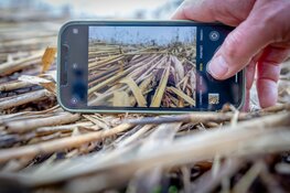 Workshop 'fotografeer de zomer met je mobiel'