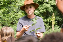 Ontdek deze zomervakantie de Almeerse natuur
