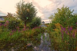 Eco wijk 'De Buitenkans' opent haar deuren tijdens Open Monumentendag 2022