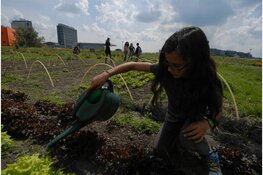 Zes natuurfeestjes in Flevoland tijdens Fête de la Nature