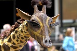 Leuk en gevarieerd programma op Uitfestivals in Almere Haven en Buiten