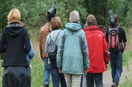 Groen Flevoland Festival