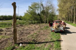 Boombom2022 on tour! Voor al je vragen over boombom, bomen en het stadsbos