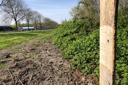 Boombom2022 on tour! Voor al je vragen over boombom, bomen en het stadsbos