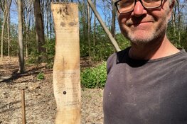 Boombom2022 on tour! Voor al je vragen over boombom, bomen en het stadsbos