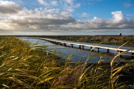 Unieke winterexcursies op Marker Wadden