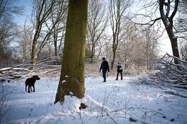 Ontdek je stad & natuur in de kerstvakantie