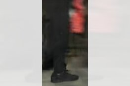 Gezocht: Explosie Harpstraat