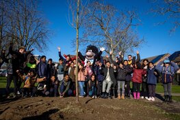 Boomfeestdag 2023: Bomen planen langs de busbaan en in stadsbos Almeerderhout