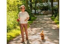 Almeerse hondjes zijn klaar voor de lente! Stichting OOPOEH op zoek naar senioren.