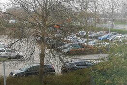 Muziekwijkers erg boos over gang van zaken buitenzwembad.