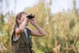 13 mei Wereld Trekvogeldag:  Beleef het in Nationaal Park Nieuw Land!