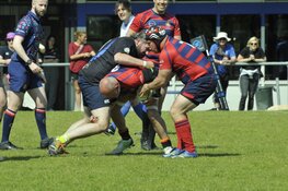 Jubileum editie internationale Rugby 7s toernooi met RC Bulldogs Almere spelers