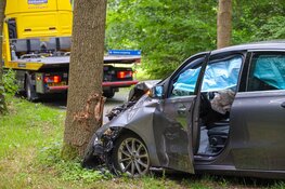 Automobiliste rijdt tegen boom in Almere