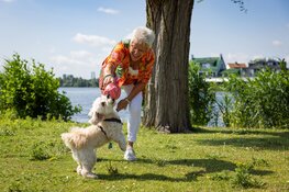 Stichting OOPOEH helpt senioren aan een kwispelend zomermaatje